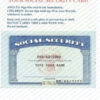 Digital Social Security PSD NEW