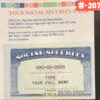 Massachusetts social security card psd