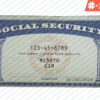 Free Download Editable SSN