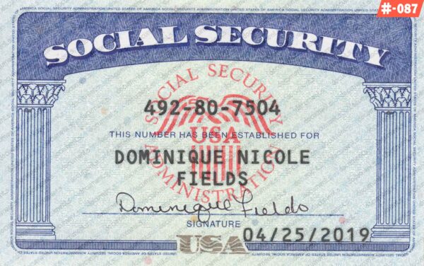 New Hampshire Social Security Card Template