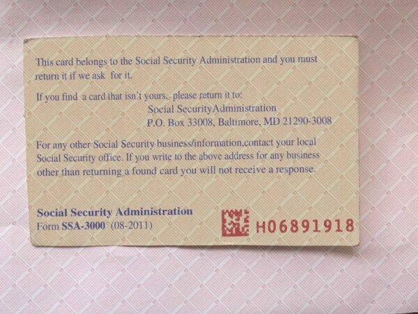 Michigan Social Security Card Template - Image 3
