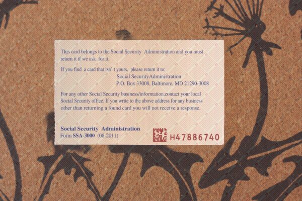 Illinois social security template - Image 3