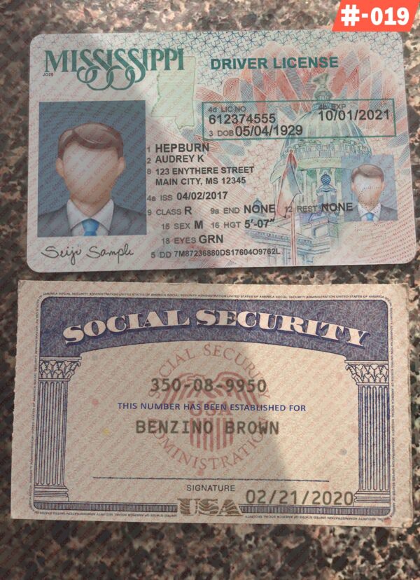 Drivers License and SSN Card Template PSD