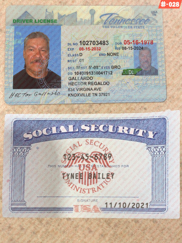 SSN Card and Drivers License Template PSD