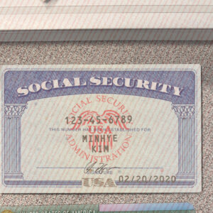 Blank Social Security Card Template With Seal
